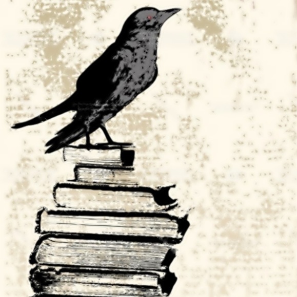 curious_raven